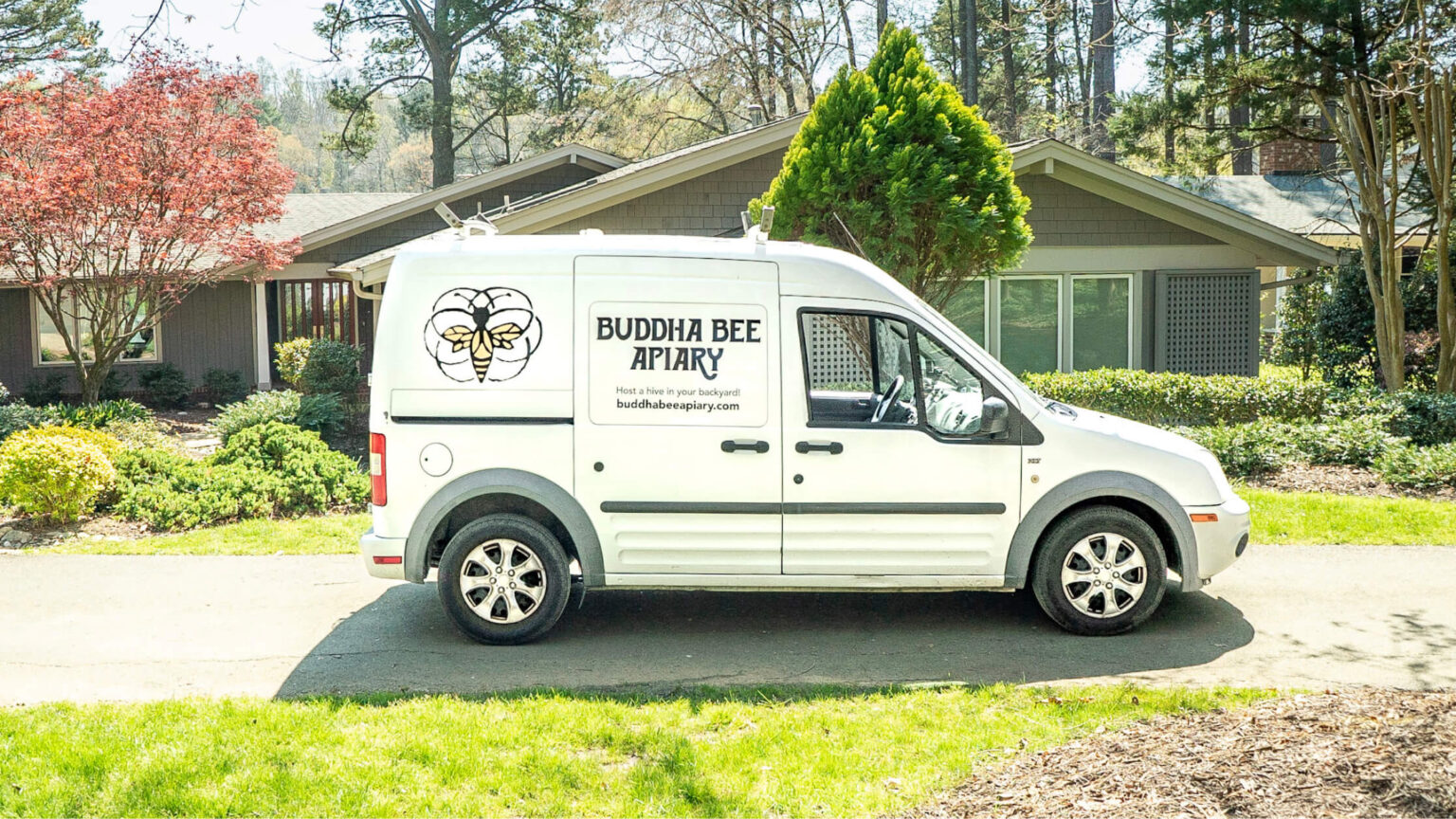 Featured image for the article