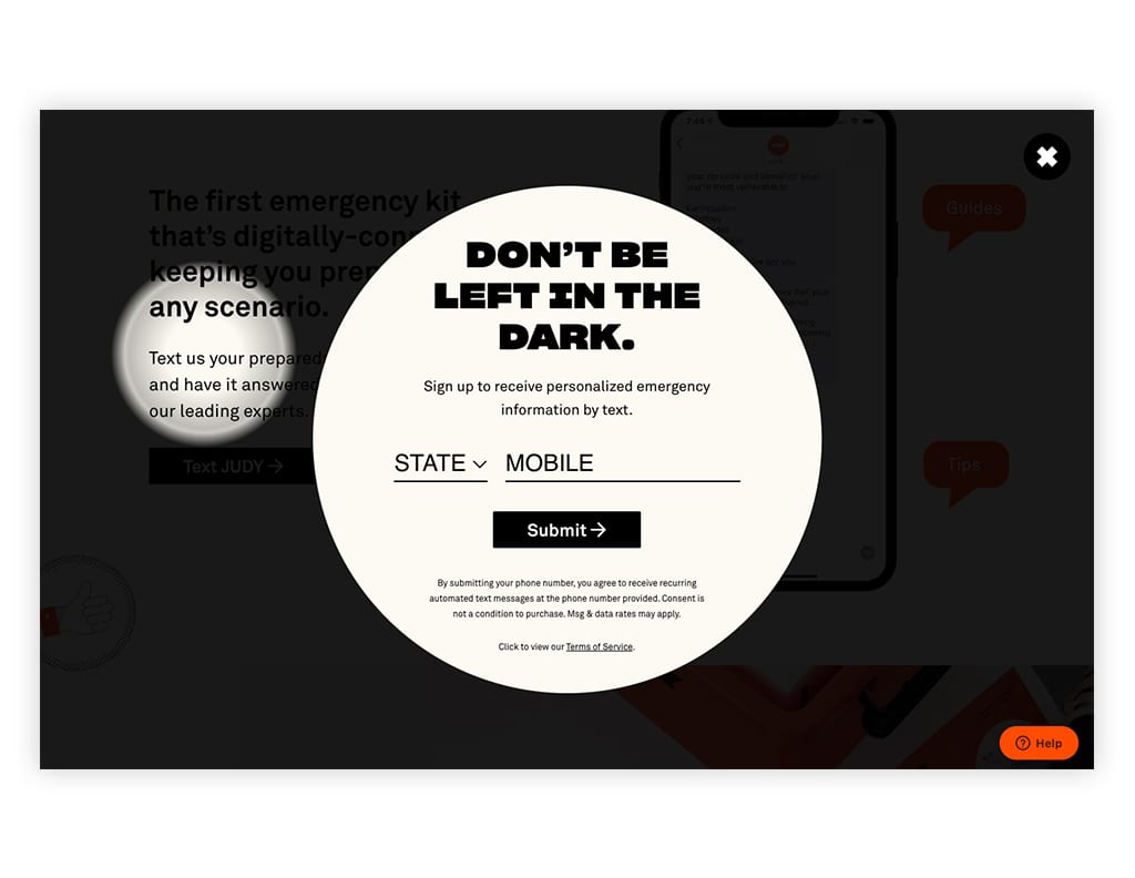 Screenshot of pop-up with phone number field on Judy.com