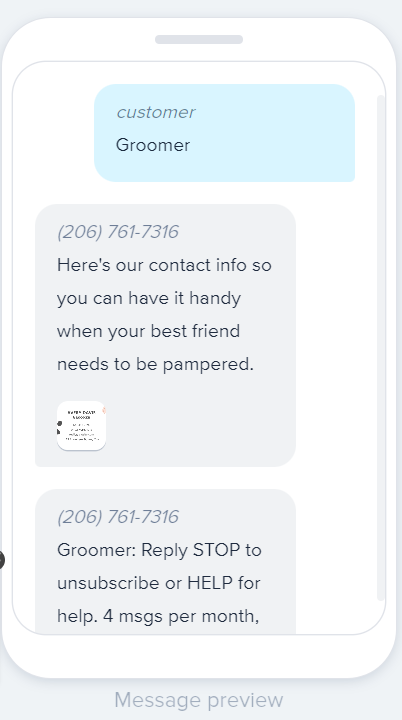 Preview of MMS message in SimpleTexting's plaform