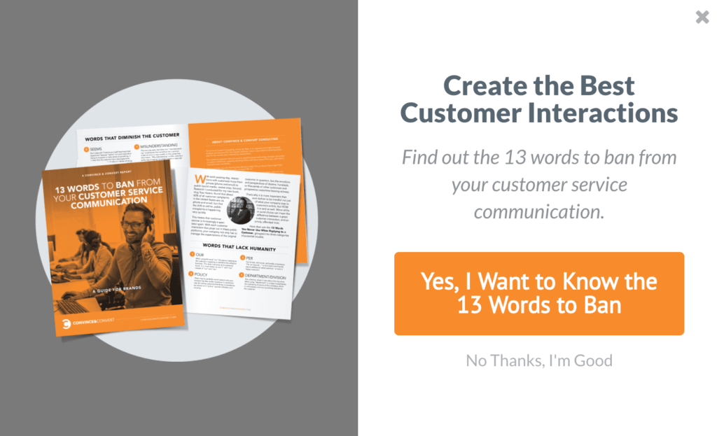 the teaser opt in example